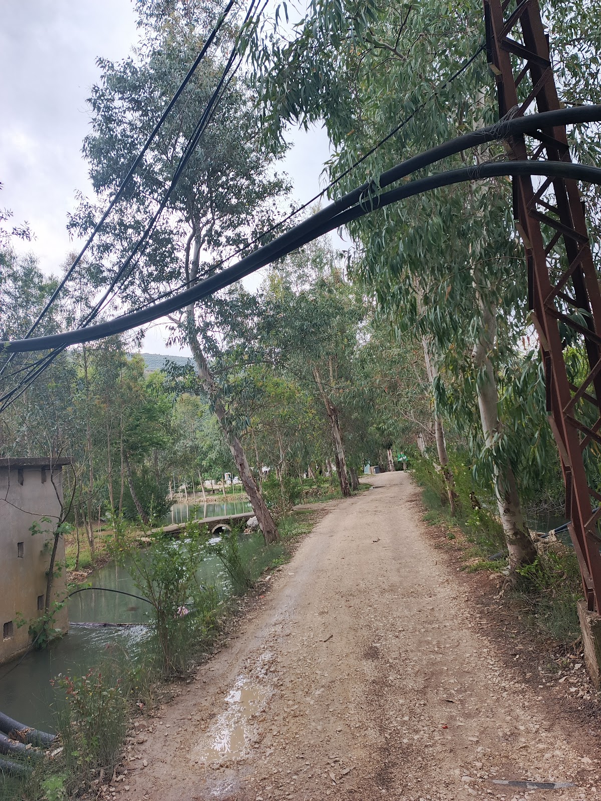 Montazah Saint George — photograph 3