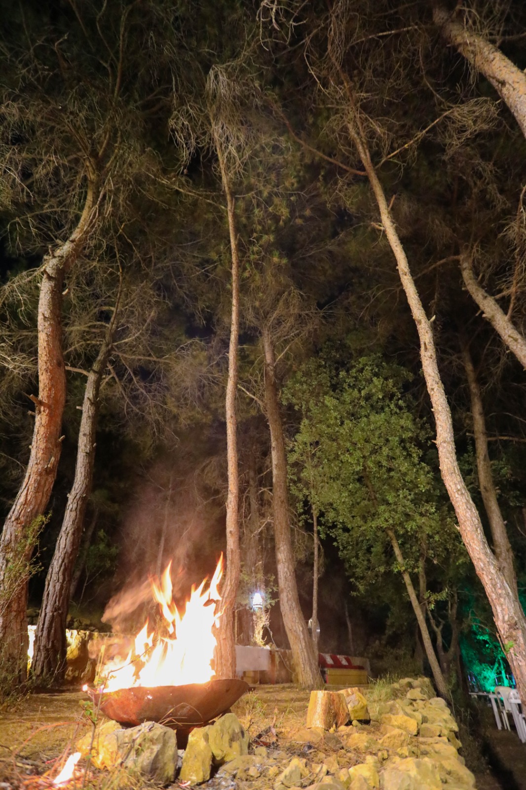 Mataam Qalaat Al Bayada — photograph 6