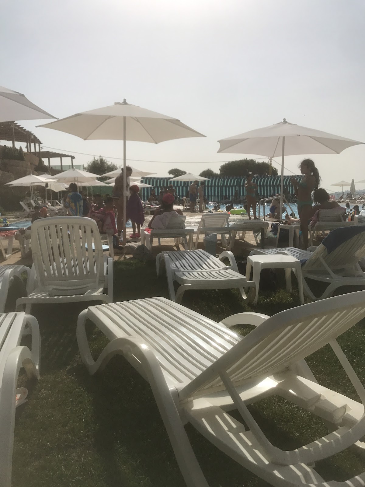 Salima Resort — photograph 6