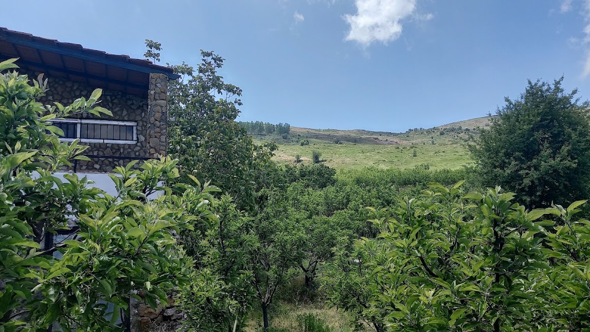 Chikhani’s Apple Farm — photograph 2