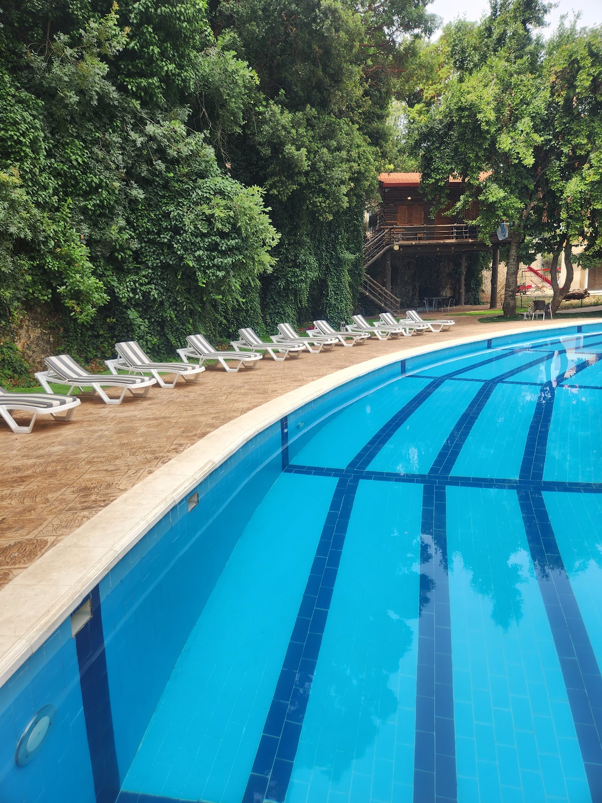 Hillside Hotel & Resort — photograph 3