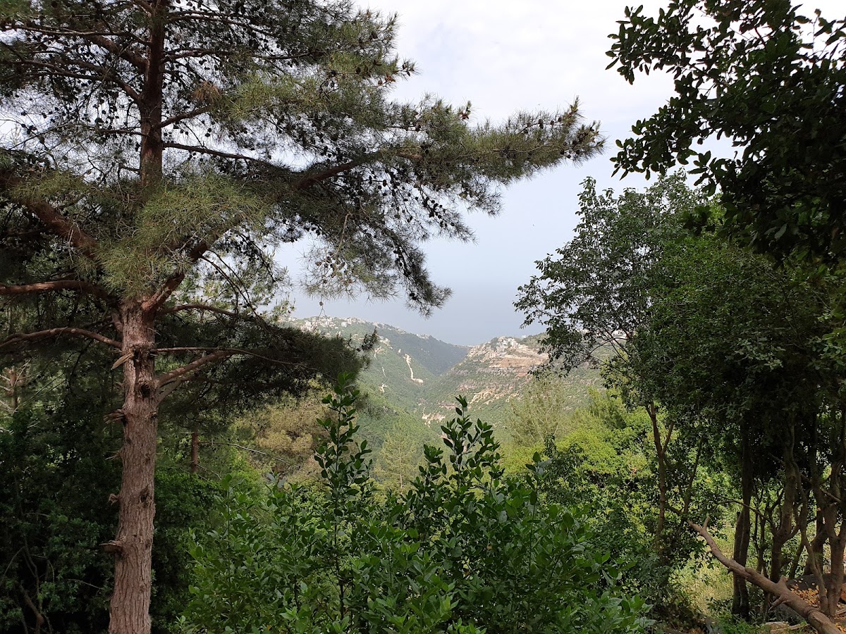 DALUR — photograph 5