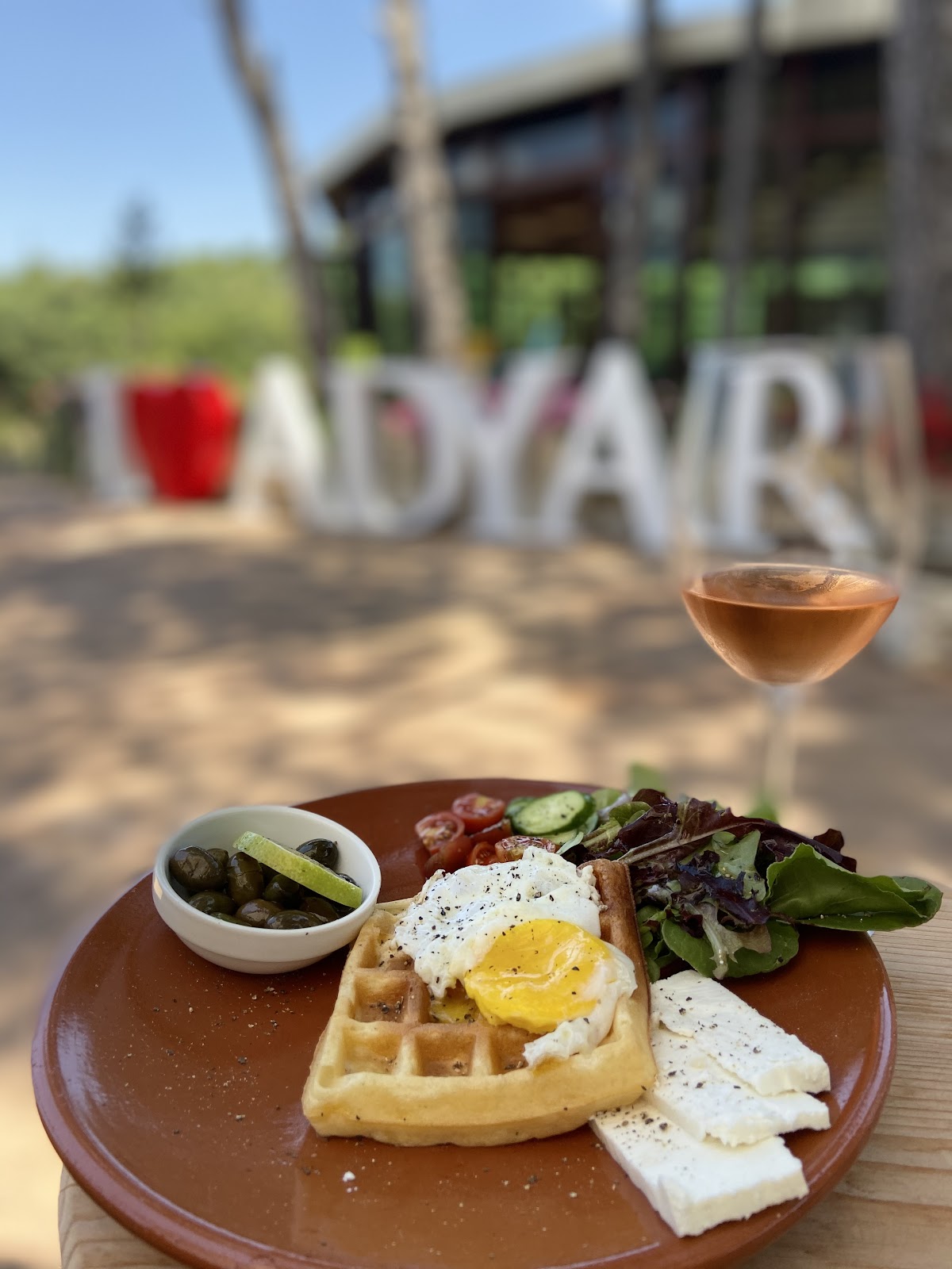 Adyar Gastronomy — photograph 2
