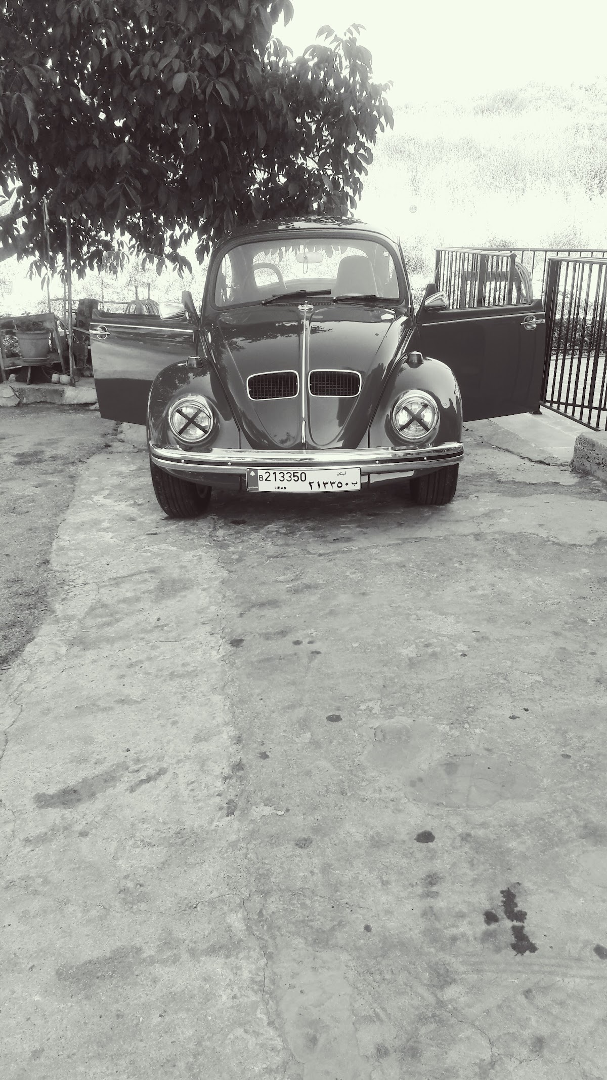 Al Zehlawe - Restaurant — photograph 3