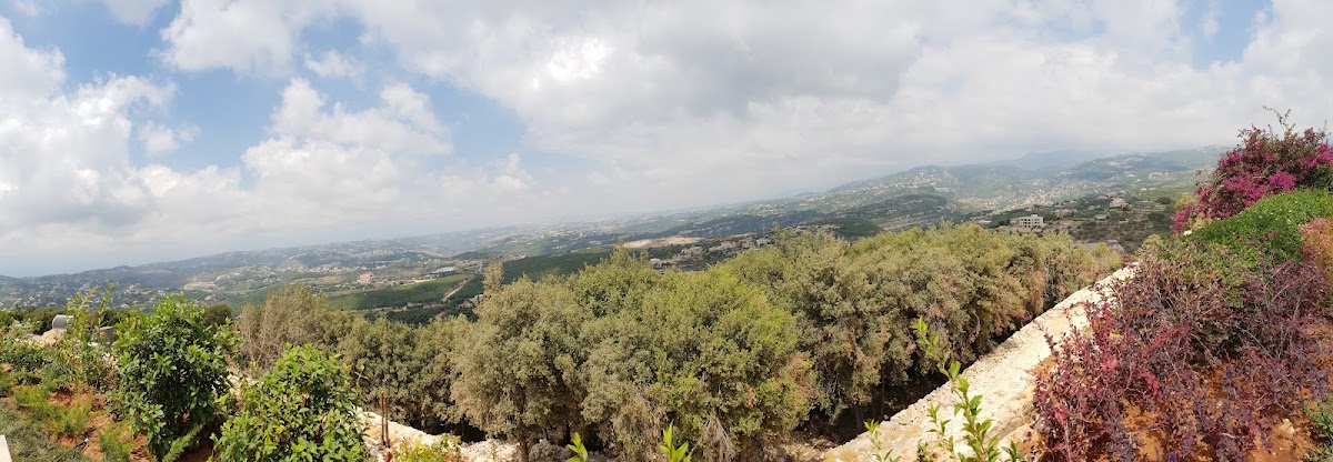 Snawbar Abdelli — photograph 5