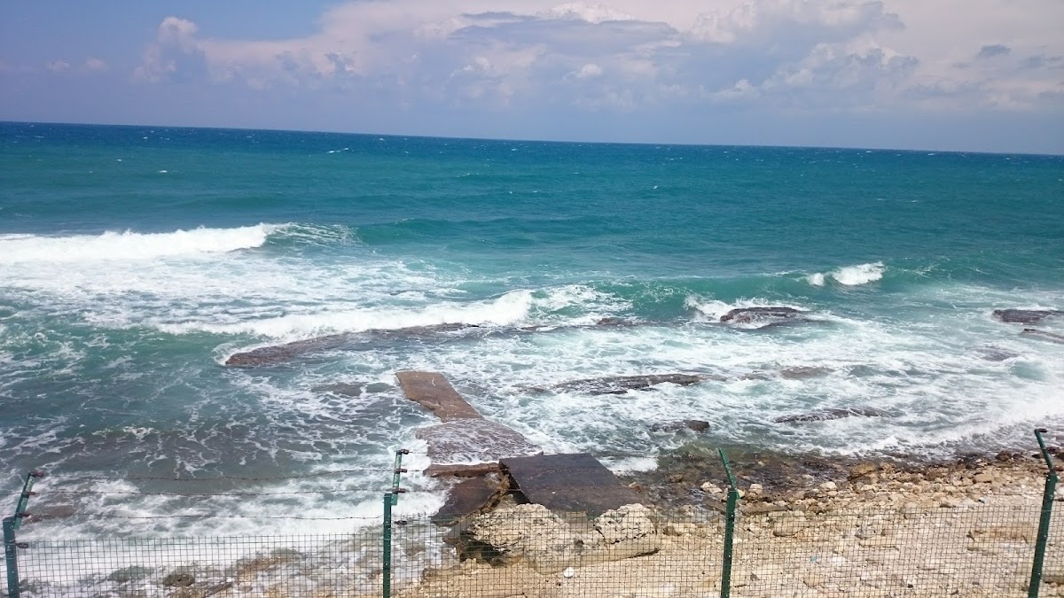 La Terrasse — photograph 4
