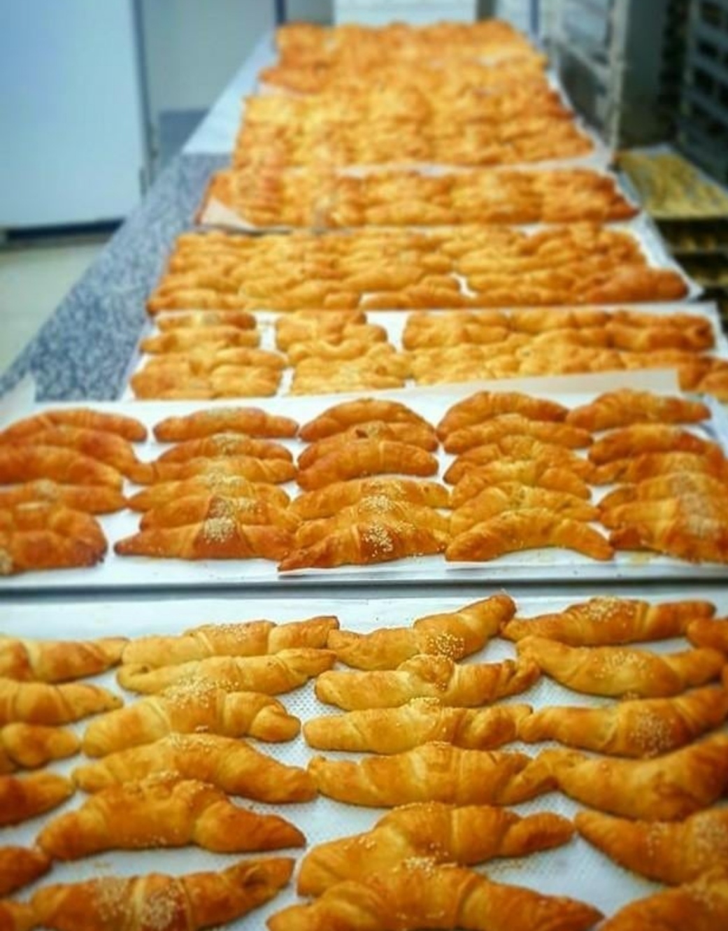 Patisserie Angela — photograph 4