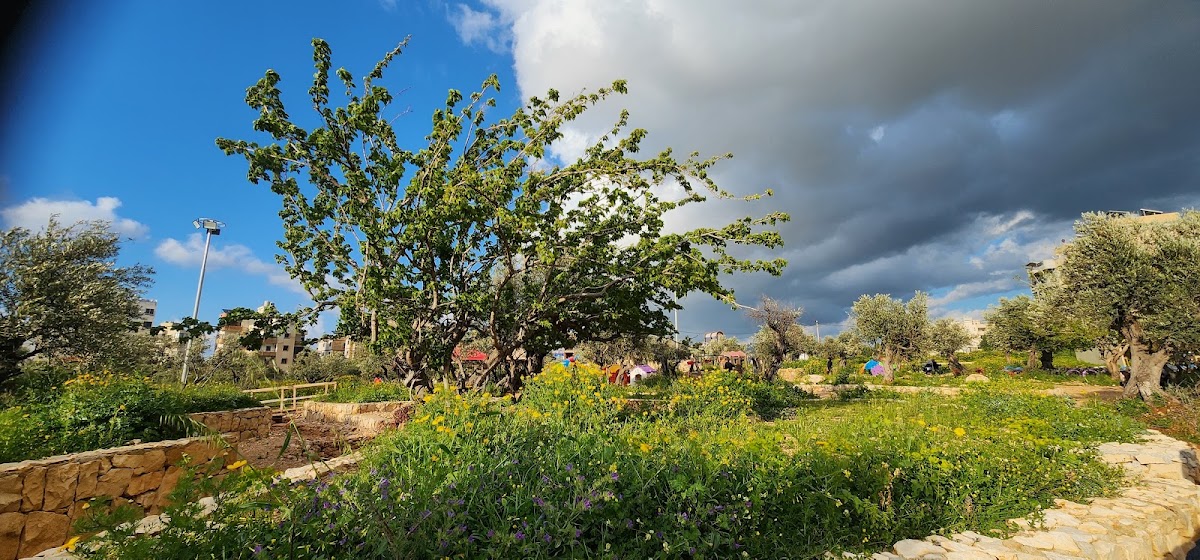Adventure Park, Abou Samra, Tripoli, Lebanon — photograph 4