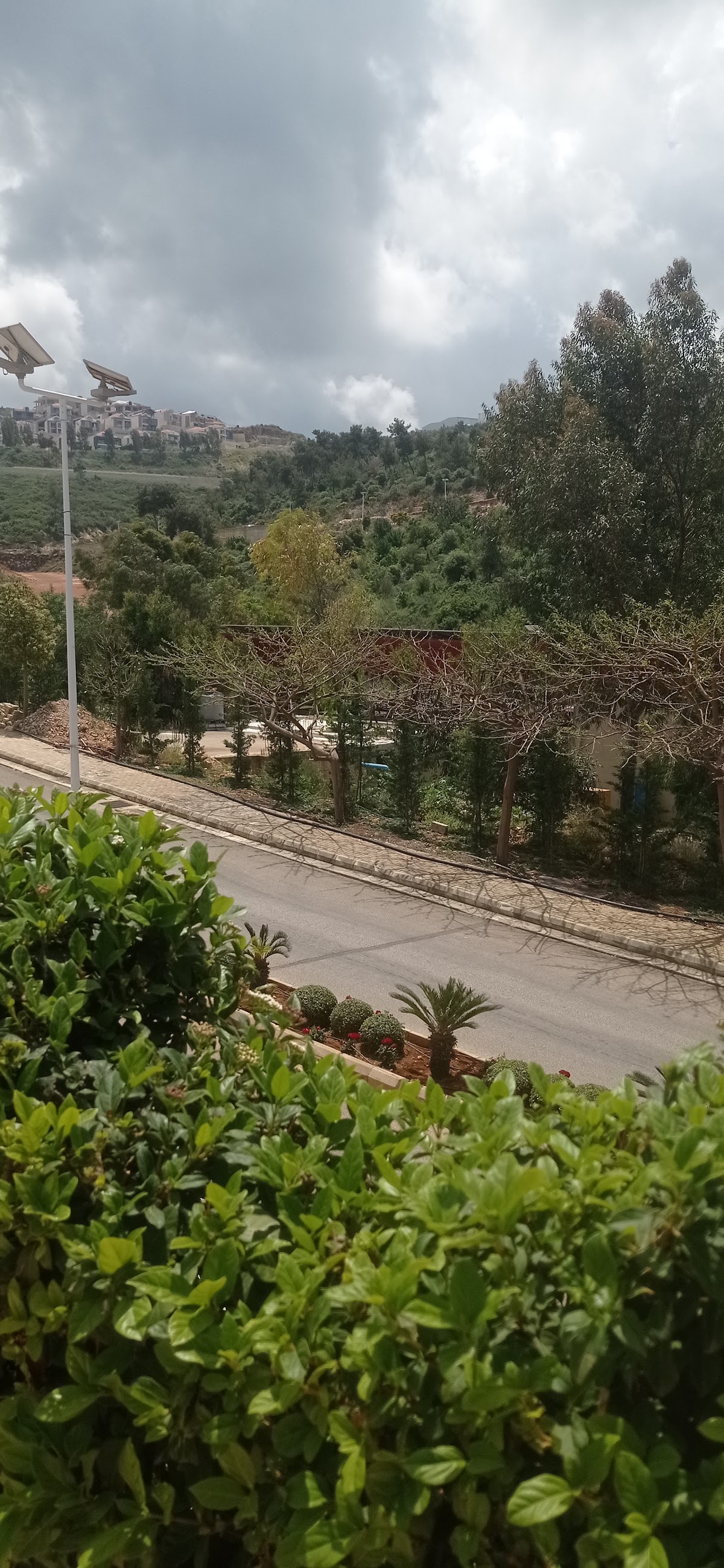 رميلة — photograph 4