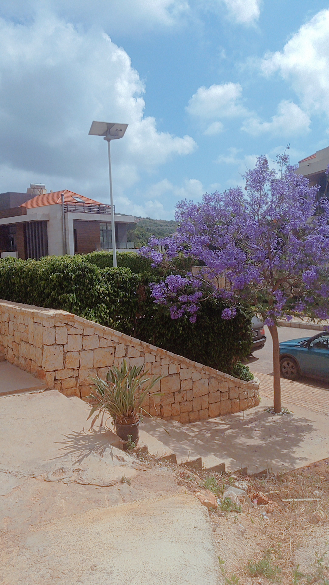 رميلة — photograph 5