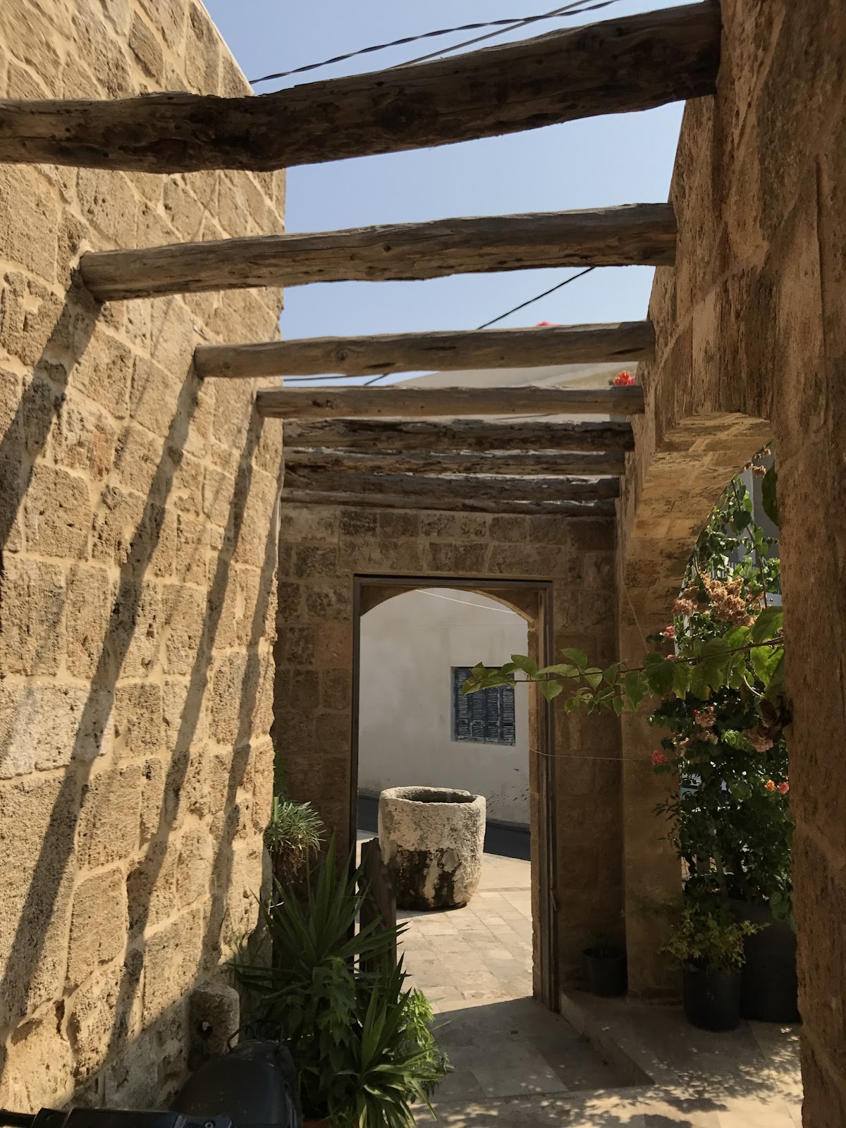 Em Salim — photograph 3