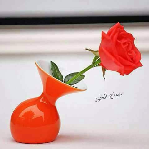 Em Salim — photograph 6