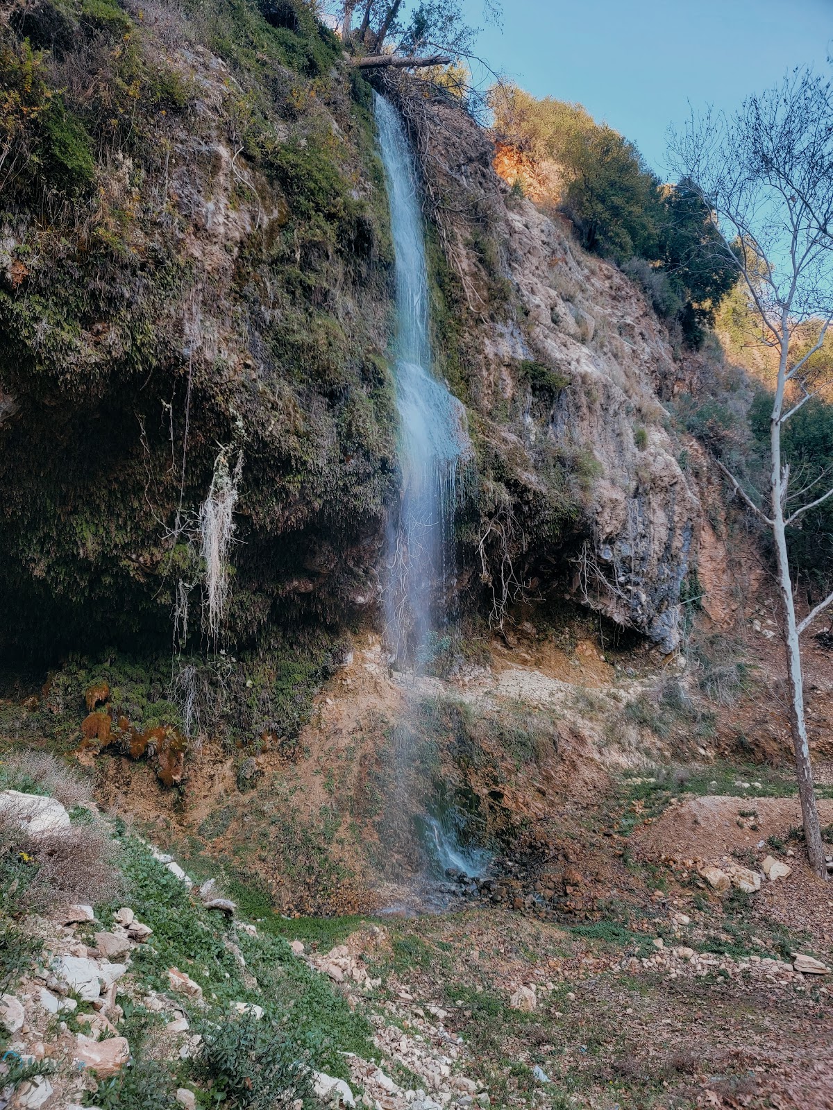 WaterFallsCampsite — photograph 4