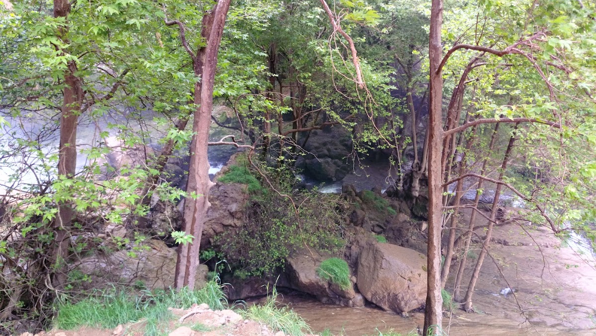WaterFallsCampsite — photograph 6