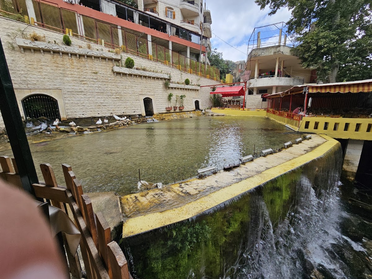 Restaurant Shallalat Al Nour — photograph 3