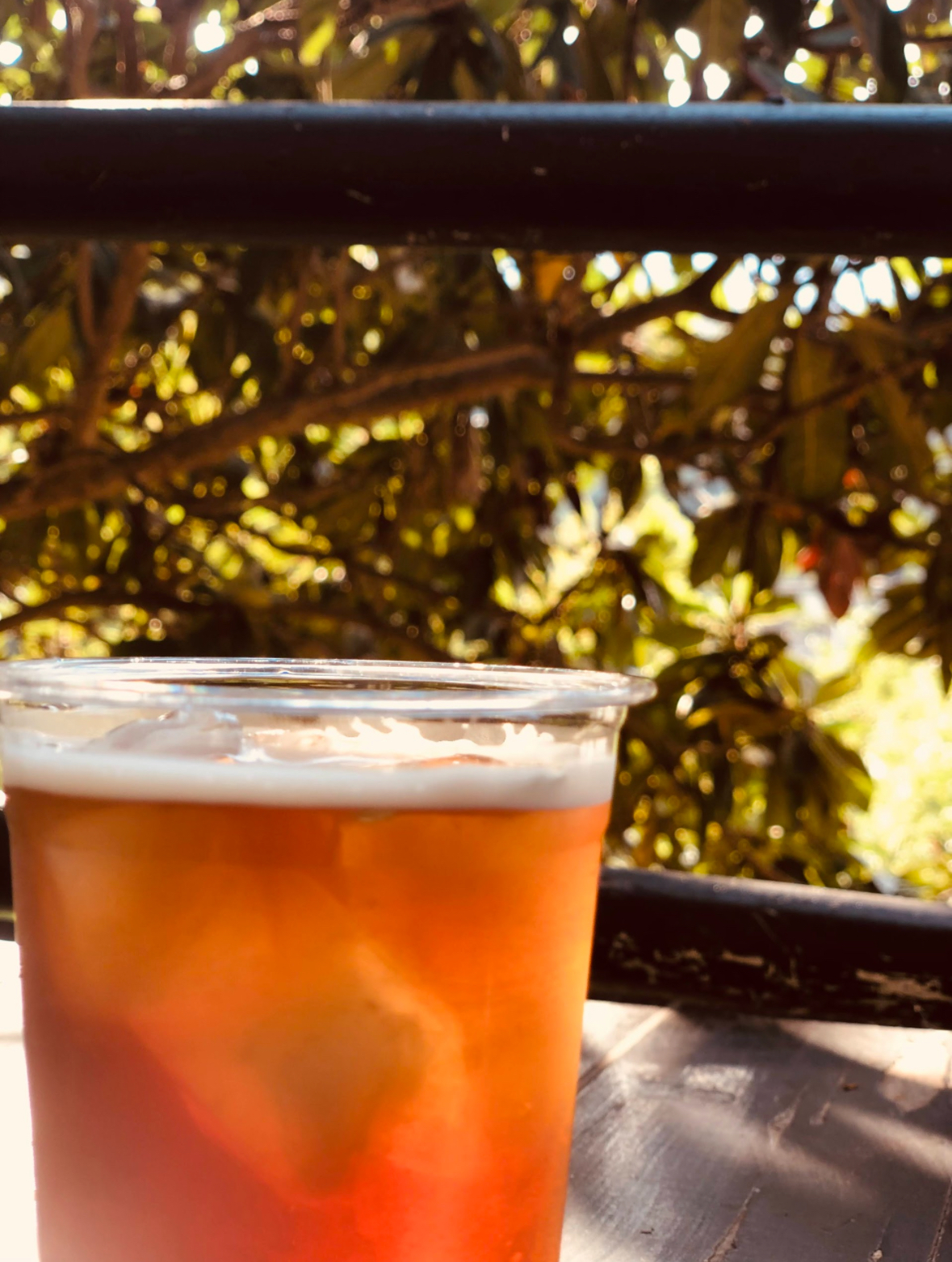 Caffe roy — photograph 6