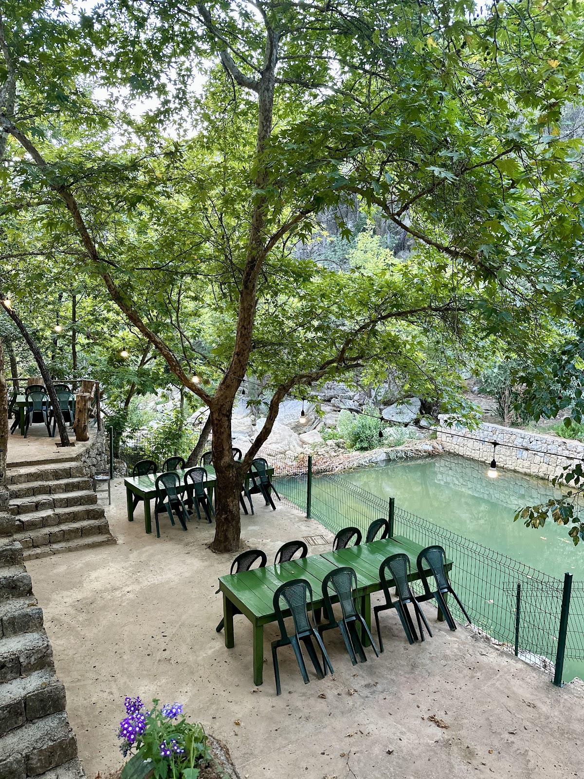 Al Wardieh River — photograph 2