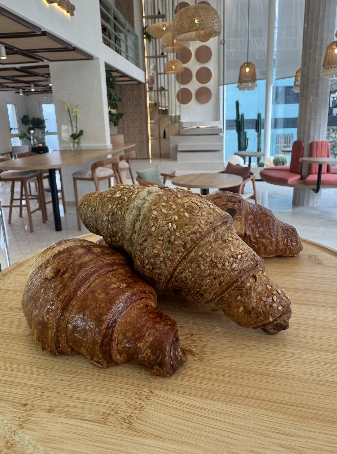 Locals Coffee House - Qabrchmoun — photograph 4