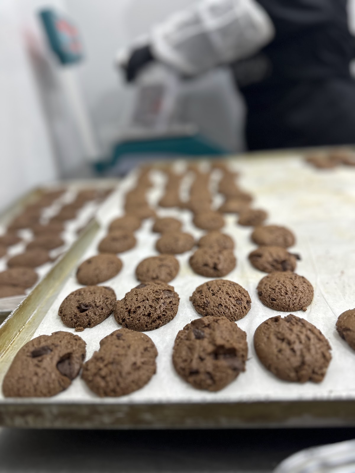 Debsy.carob — photograph 4