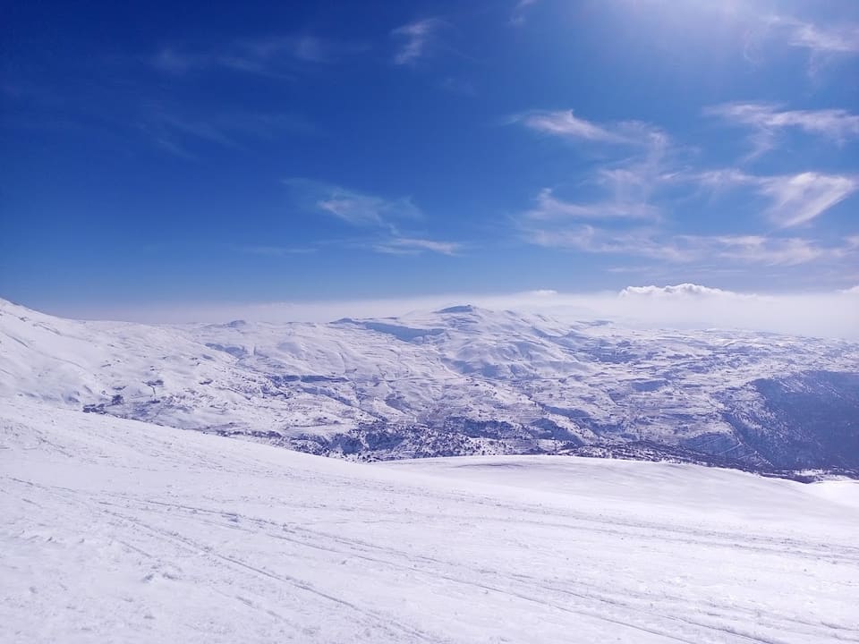 Bakish Cedars