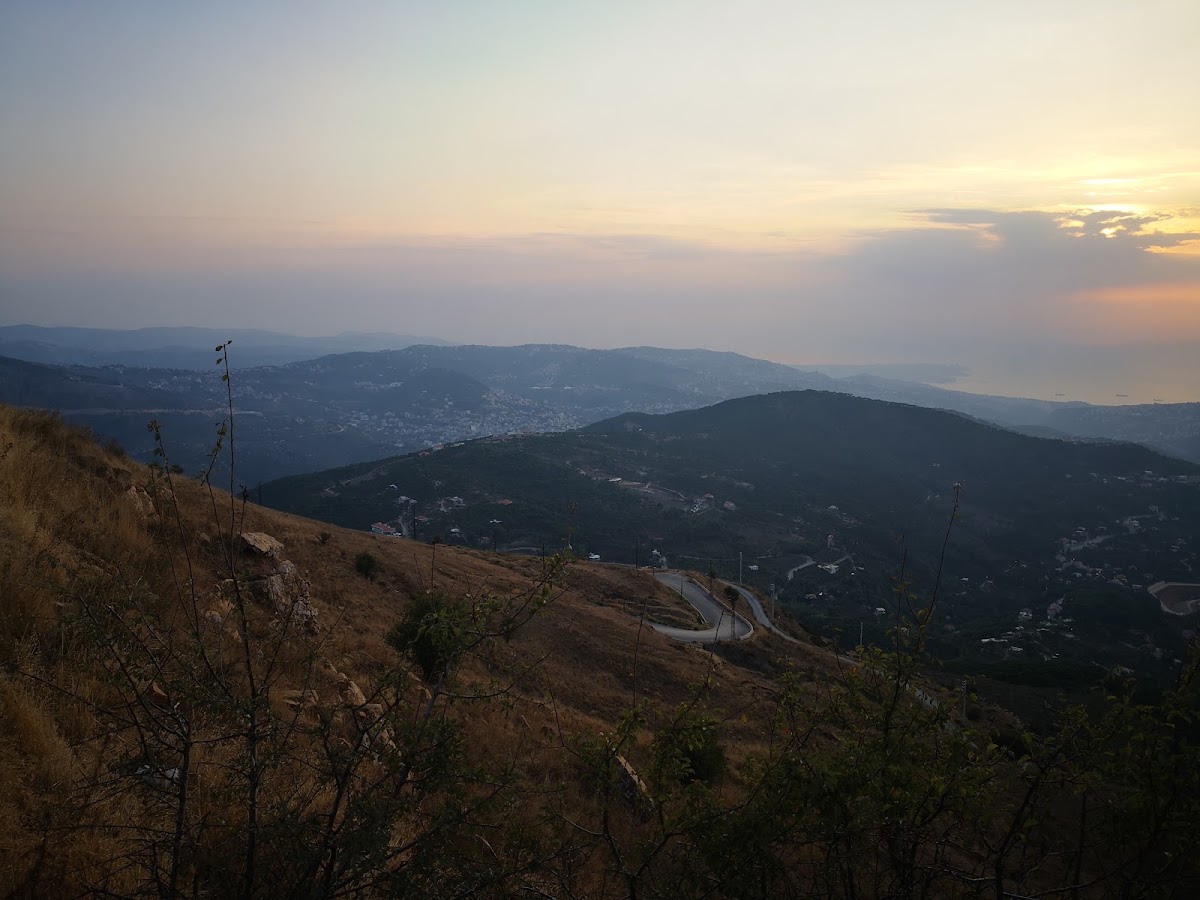 Bakish Cedars — photograph 6