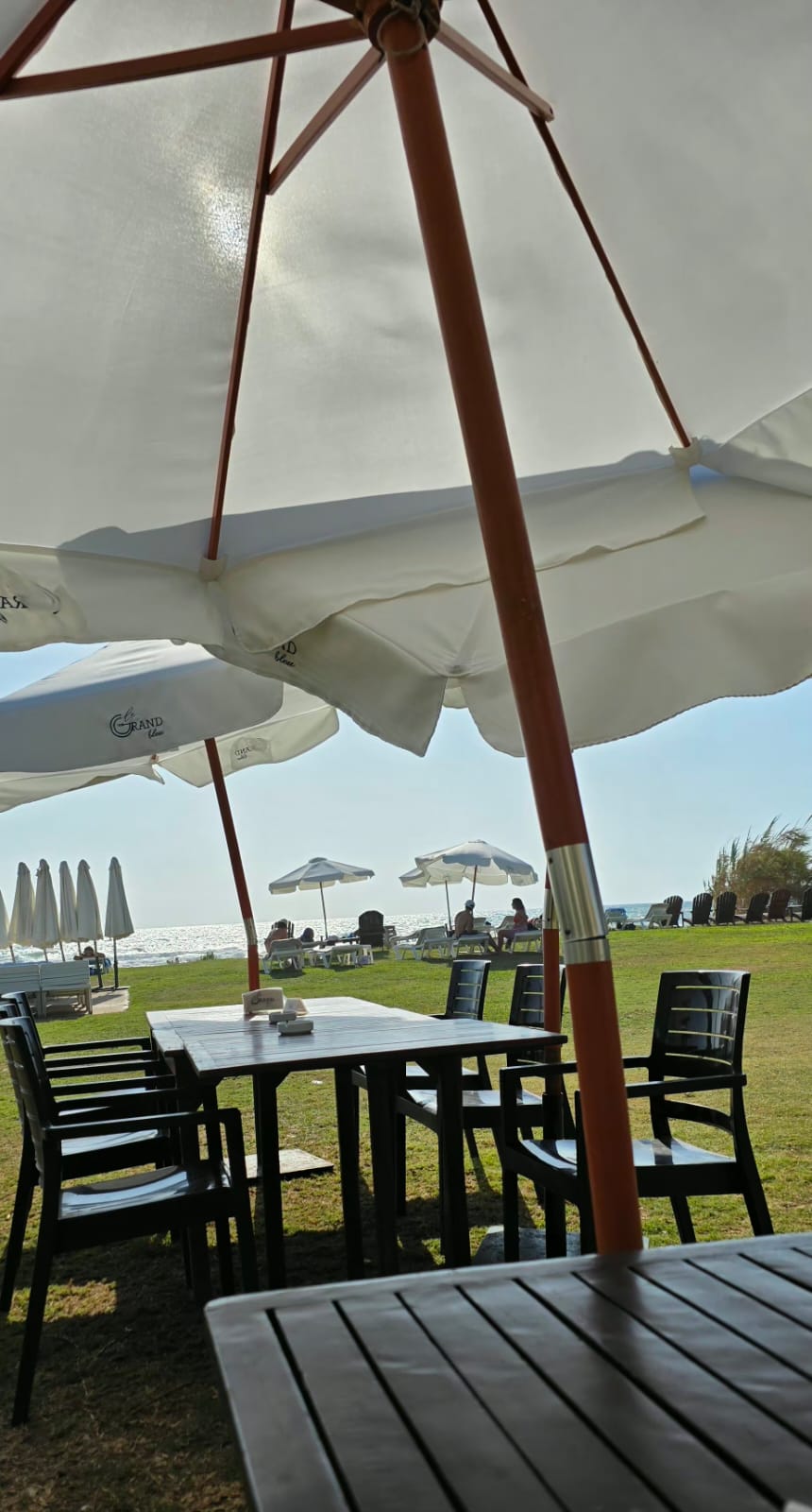 Le Grand Bleu Restaurant — photograph 2