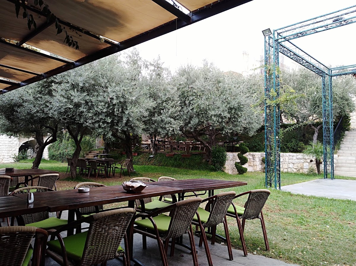 Oleace — photograph 3