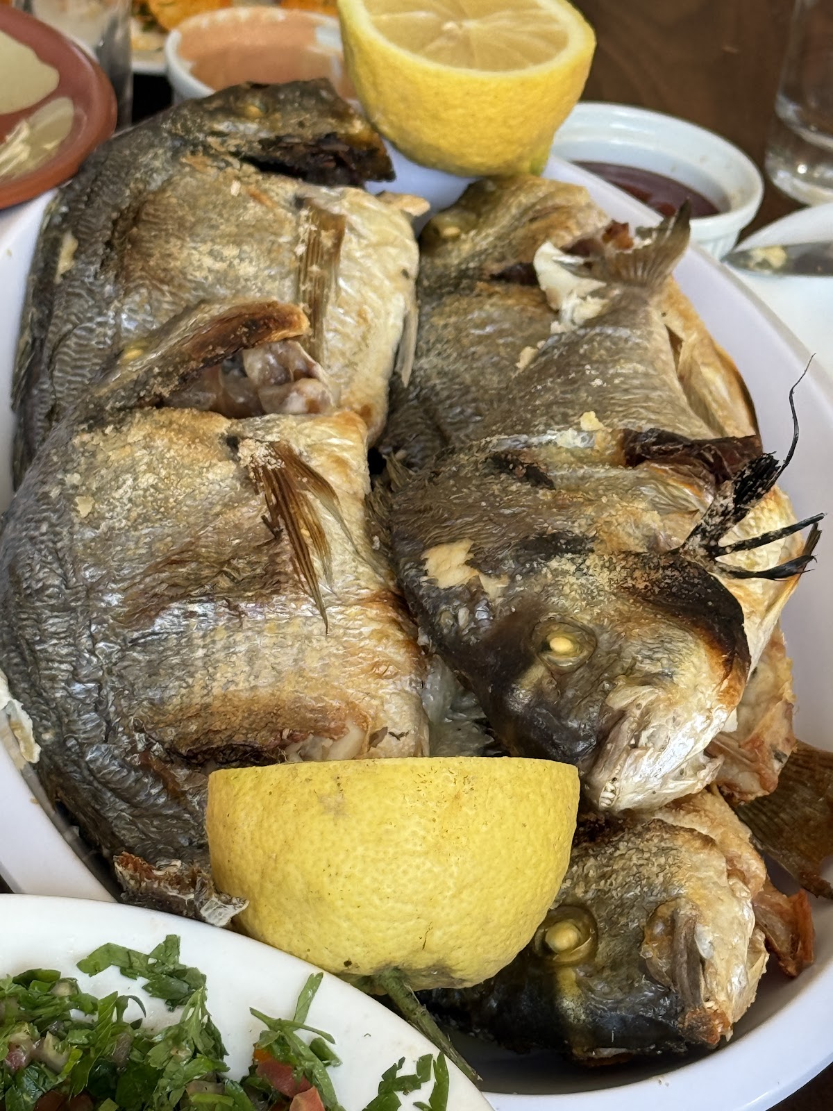 Samak Jbeil Restaurant — photograph 4