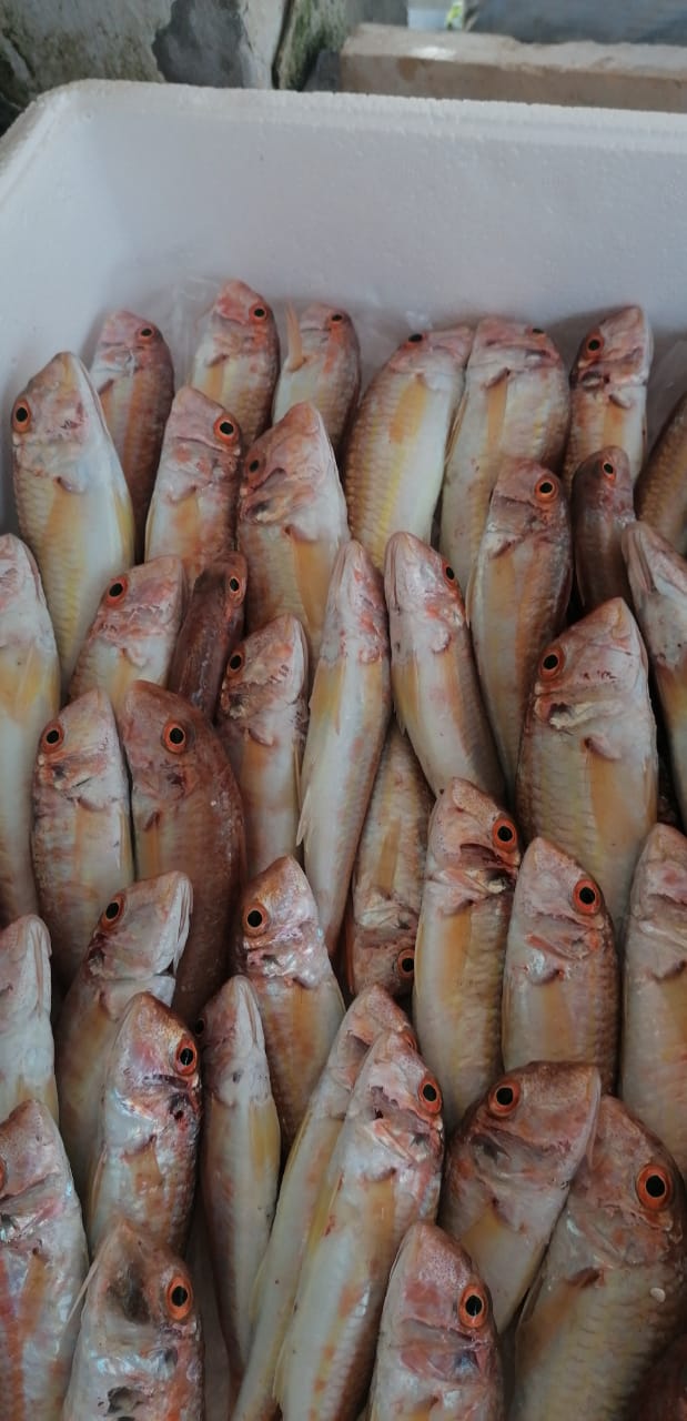 Nabeh el Teffeha — photograph 2