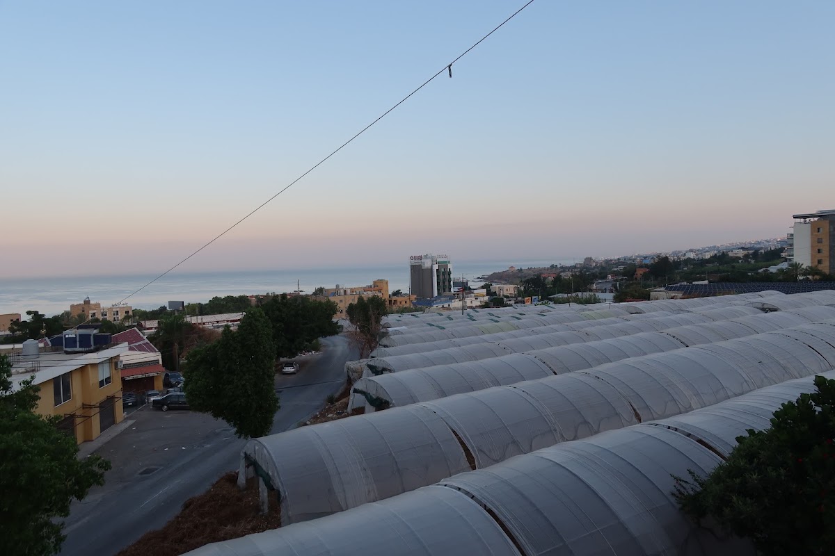Byblos Guest House — photograph 6