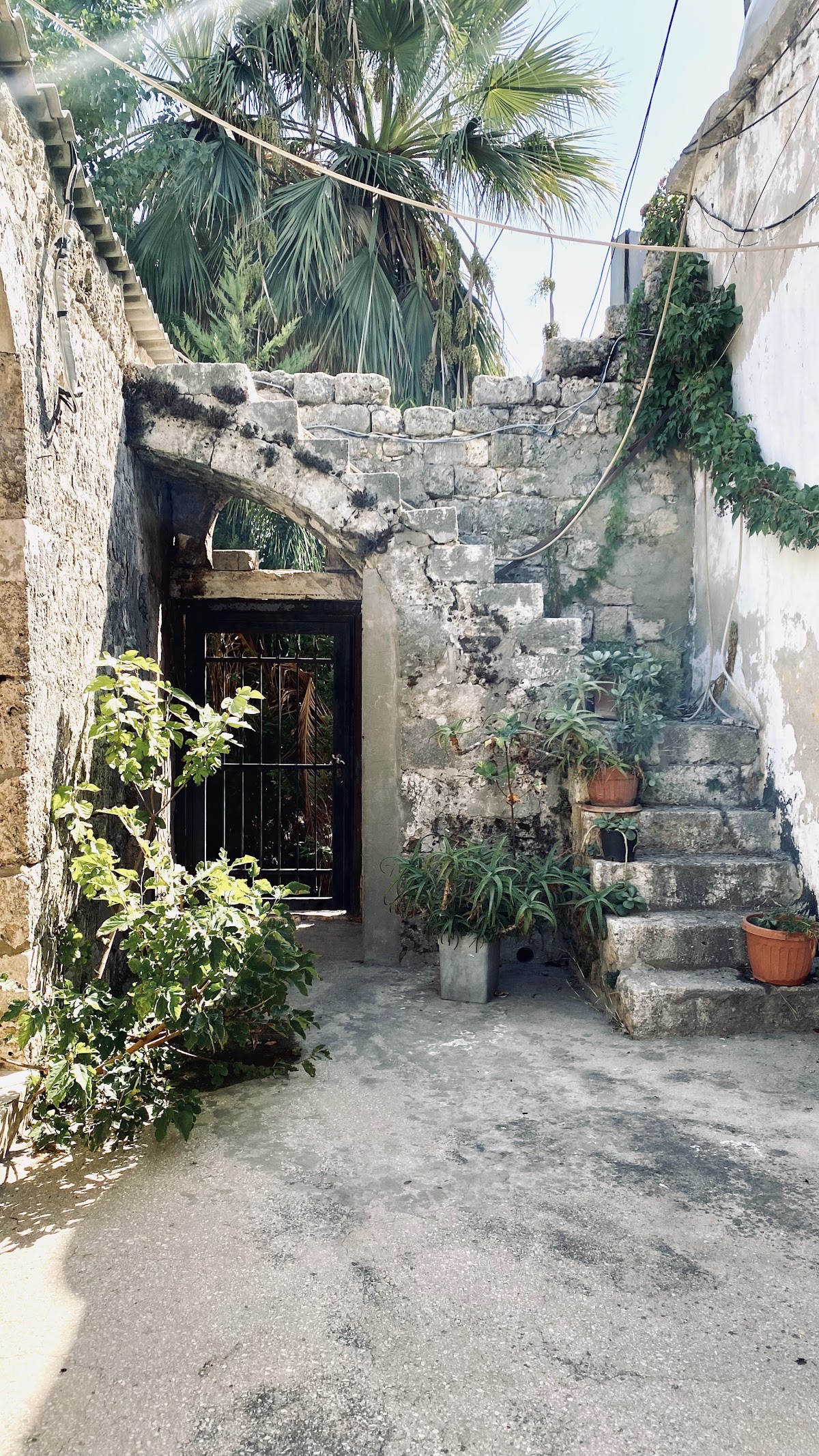 The 1600s citadel house — photograph 6