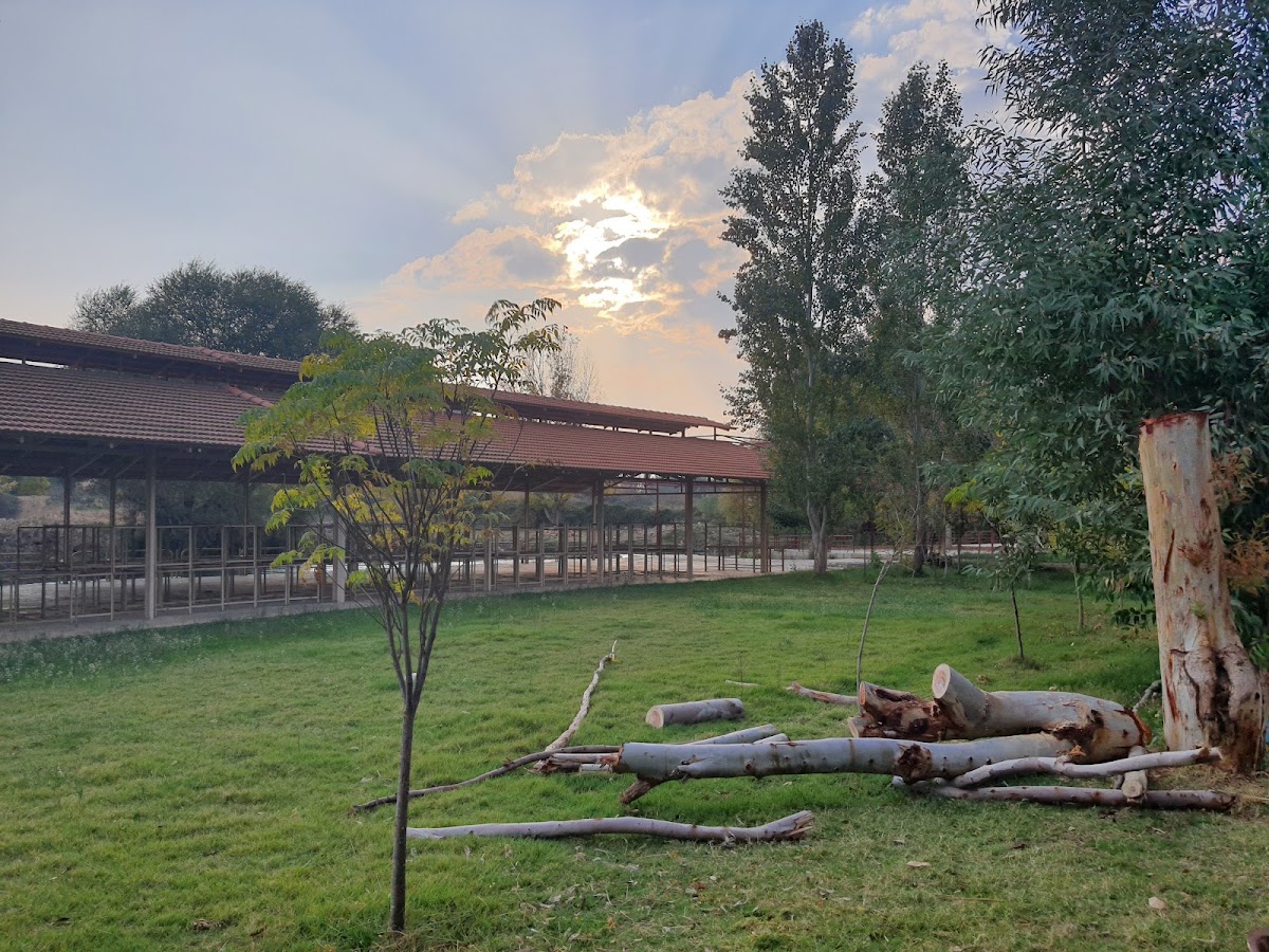 AlFayhaa Restaurant - Nahr Al Assi - Rafting - 009613942870 — photograph 2