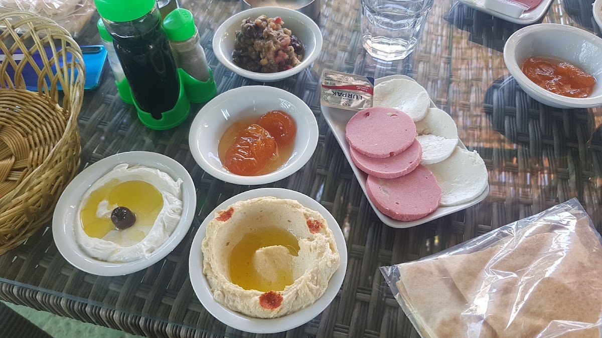 Chir al Assi