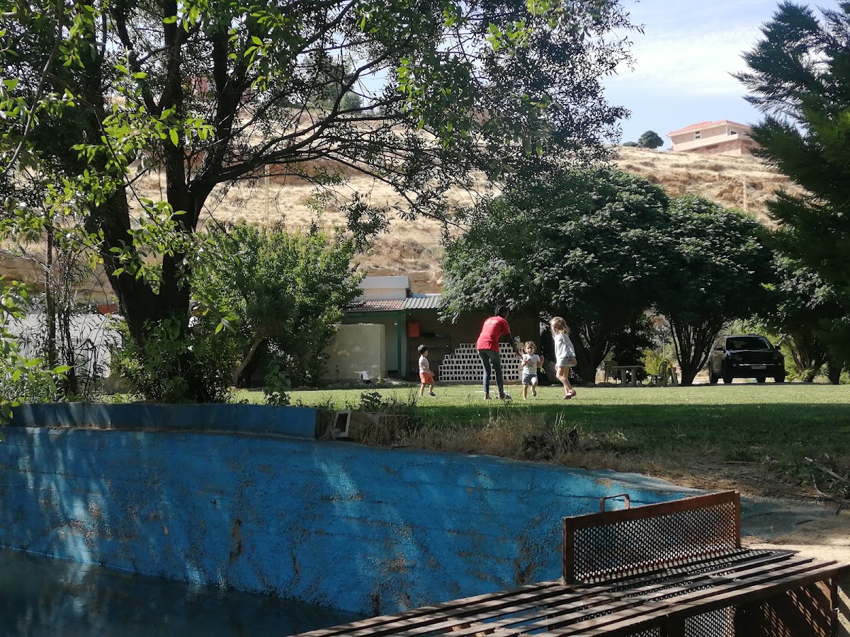 Chir al Assi — photograph 6