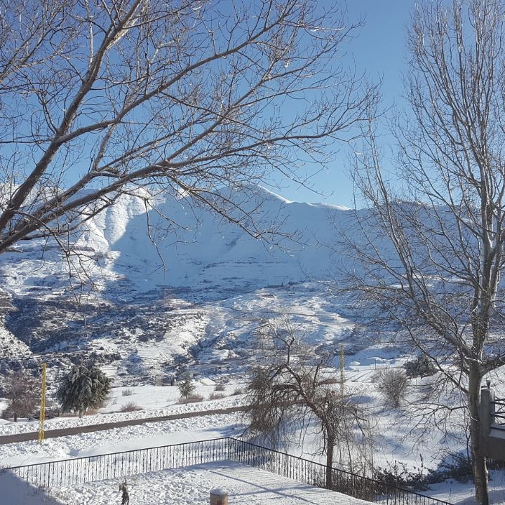 Zaarour — photograph 2