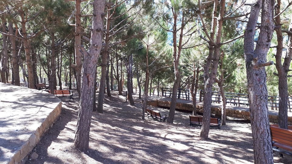 Judge Georges Ghanem's Public Cultural Garden