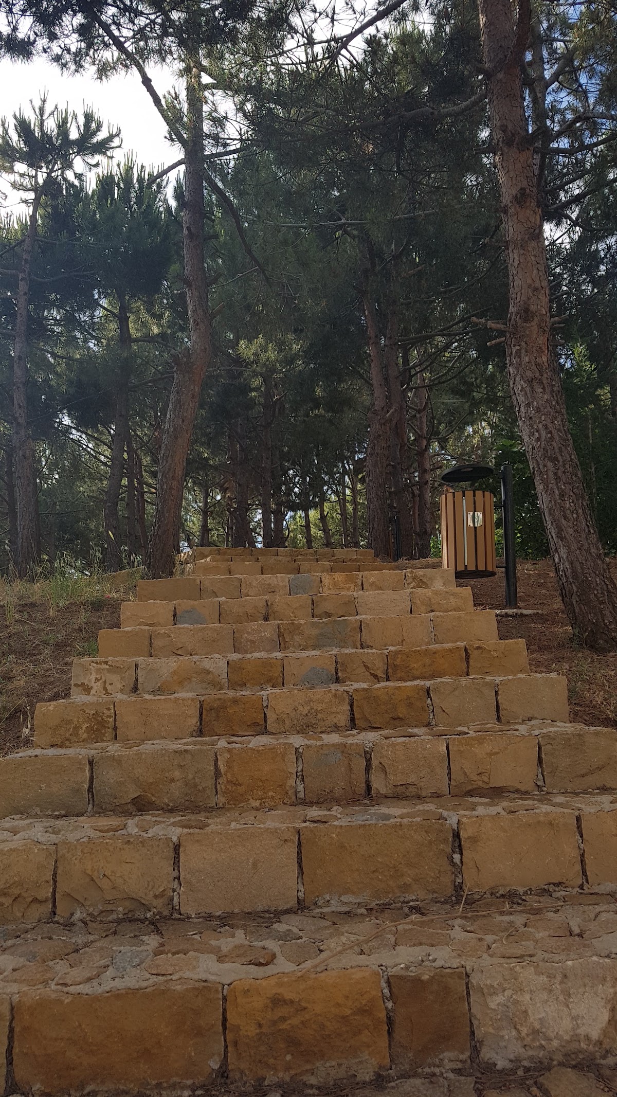 Judge Georges Ghanem's Public Cultural Garden — photograph 6