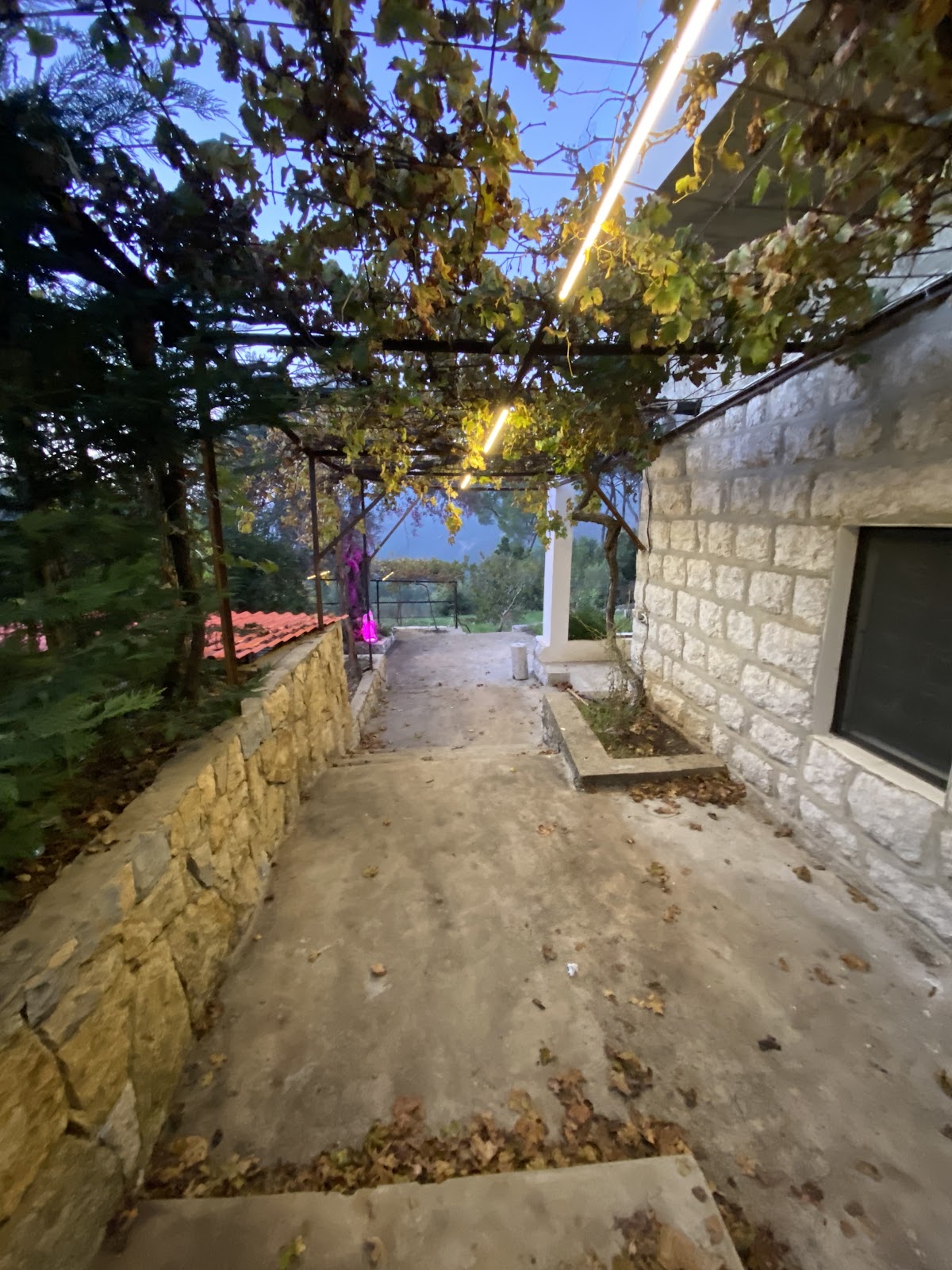 Jouret arsoun guesthouse — photograph 3