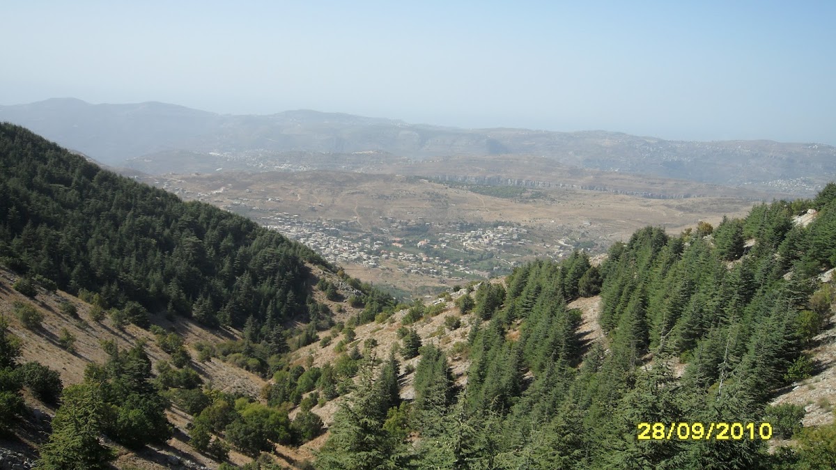 Shouf Cedars — photograph 2