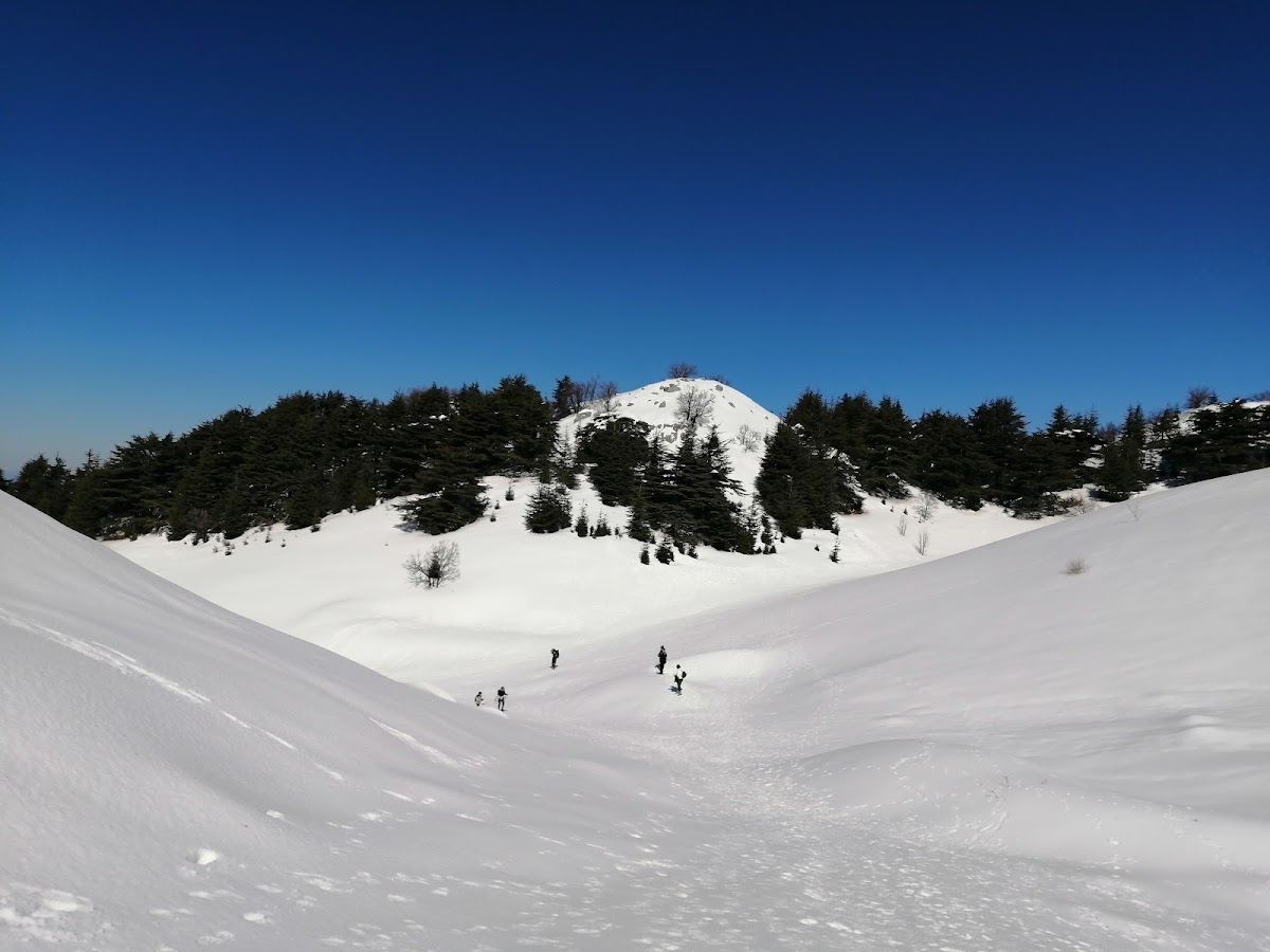 Shouf biosphere Reserve /Ain Zhalta-Bmohrai Forest — photograph 2
