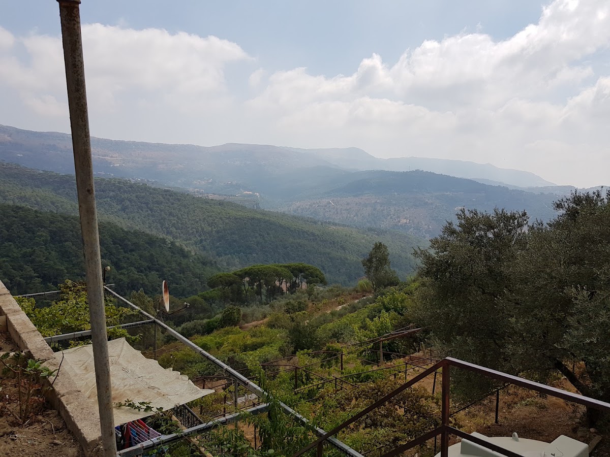 Furn w Saj Kamshat Zaatar