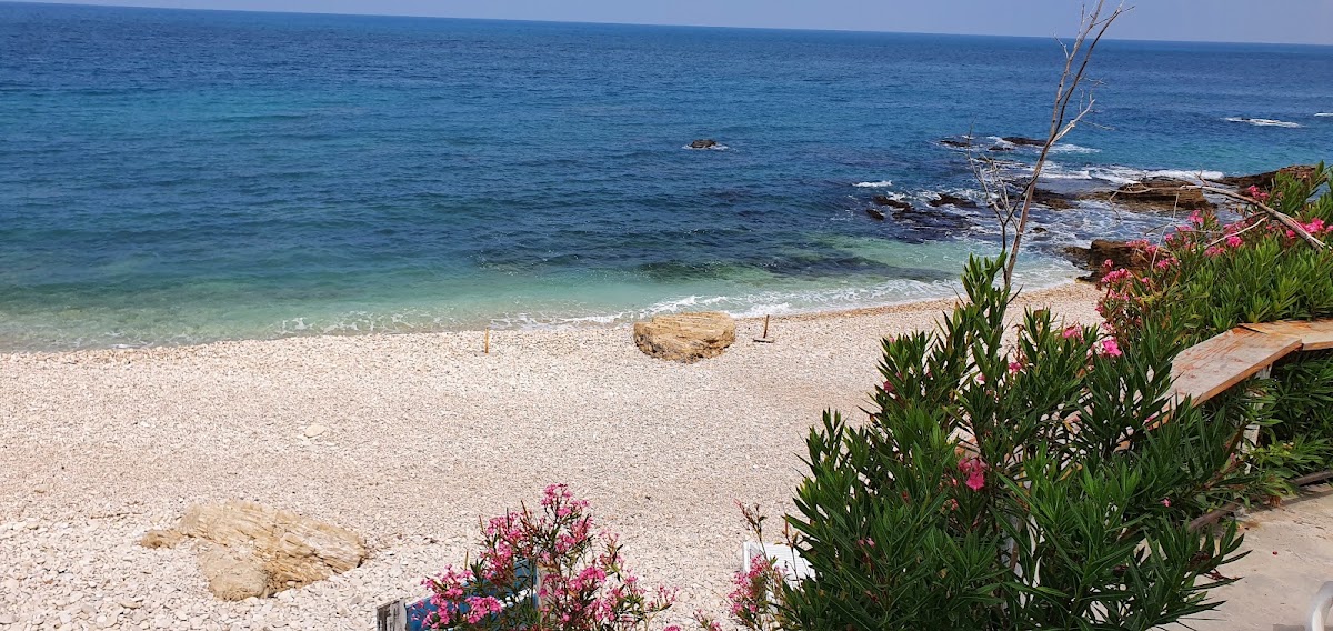 Tonic Beach — photograph 3