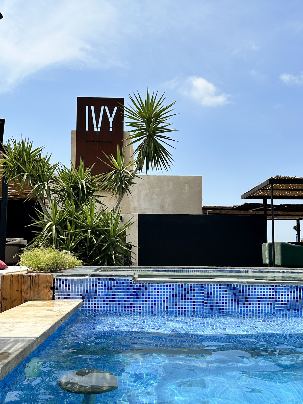 Ivy Rooftop Pool — photograph 3