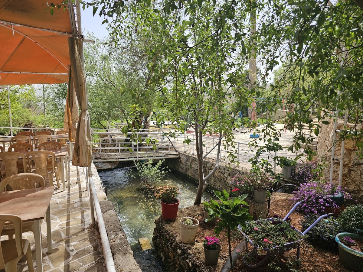 Sabeh Ayoun — photograph 2