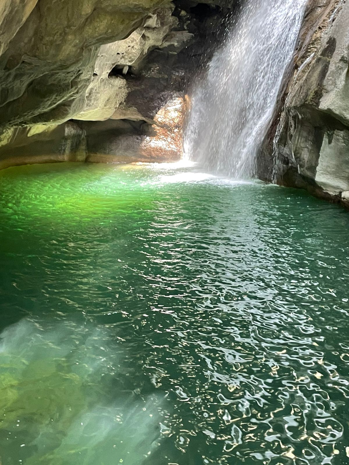 Marine's Jungle — photograph 5