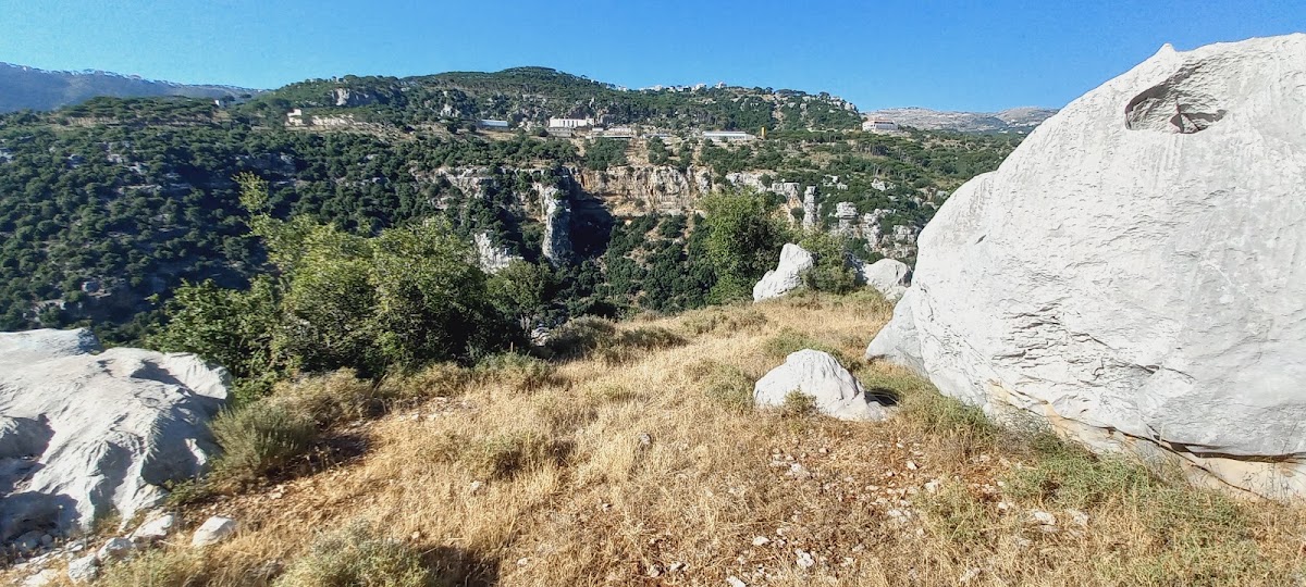 Joey's Land — photograph 3