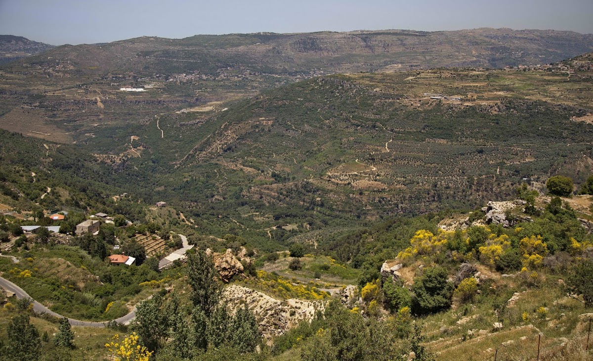 Al Hatemia - Restaurant