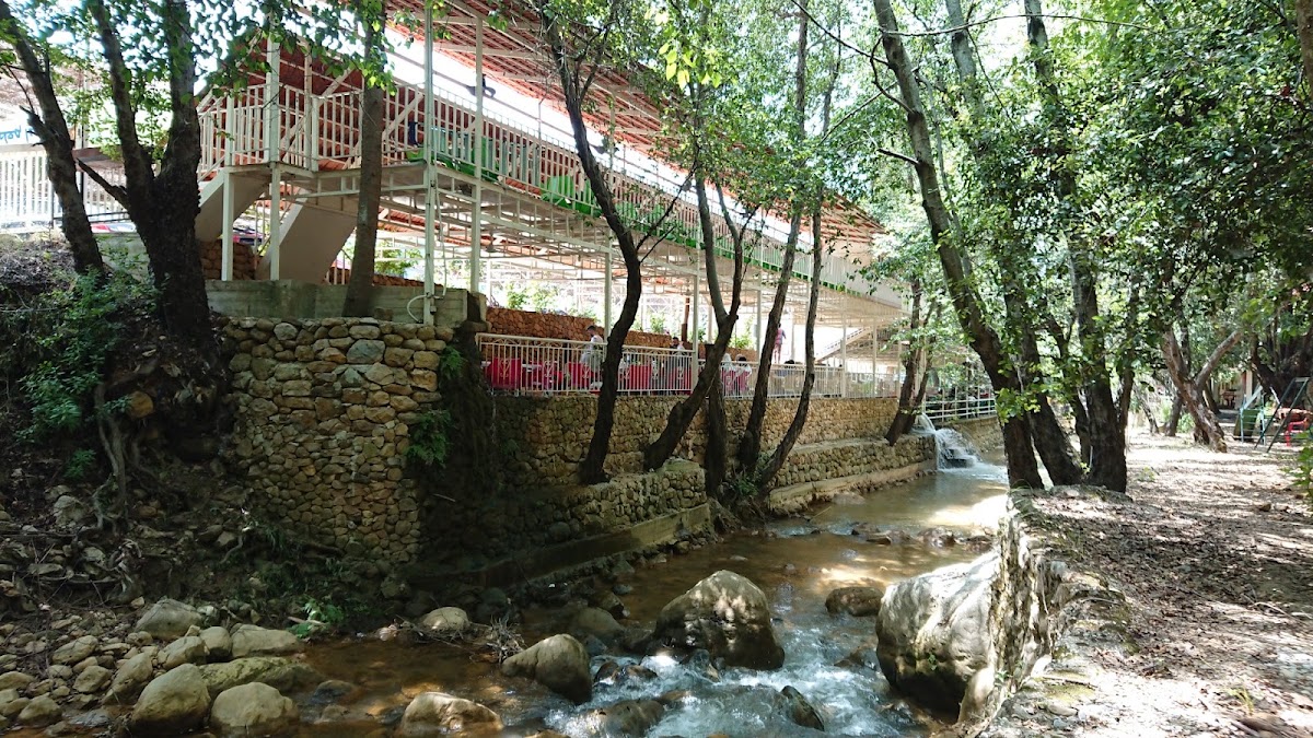 Café Abou Dani — photograph 3
