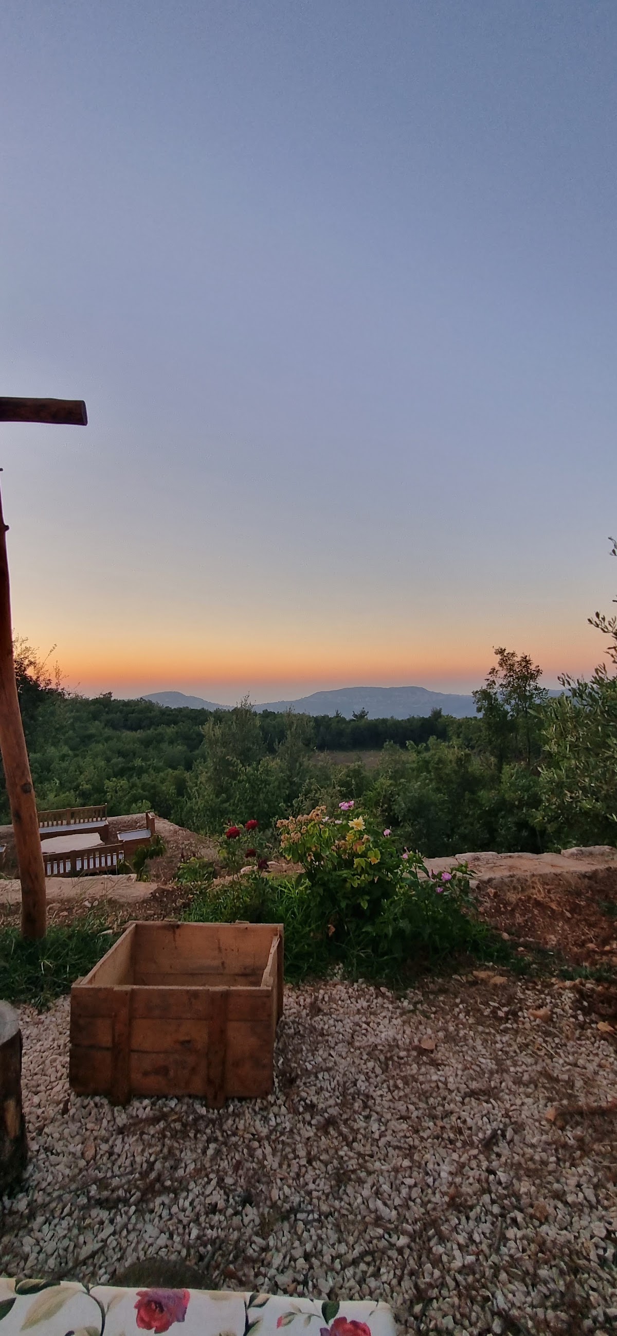 Freya’s Garden — photograph 2