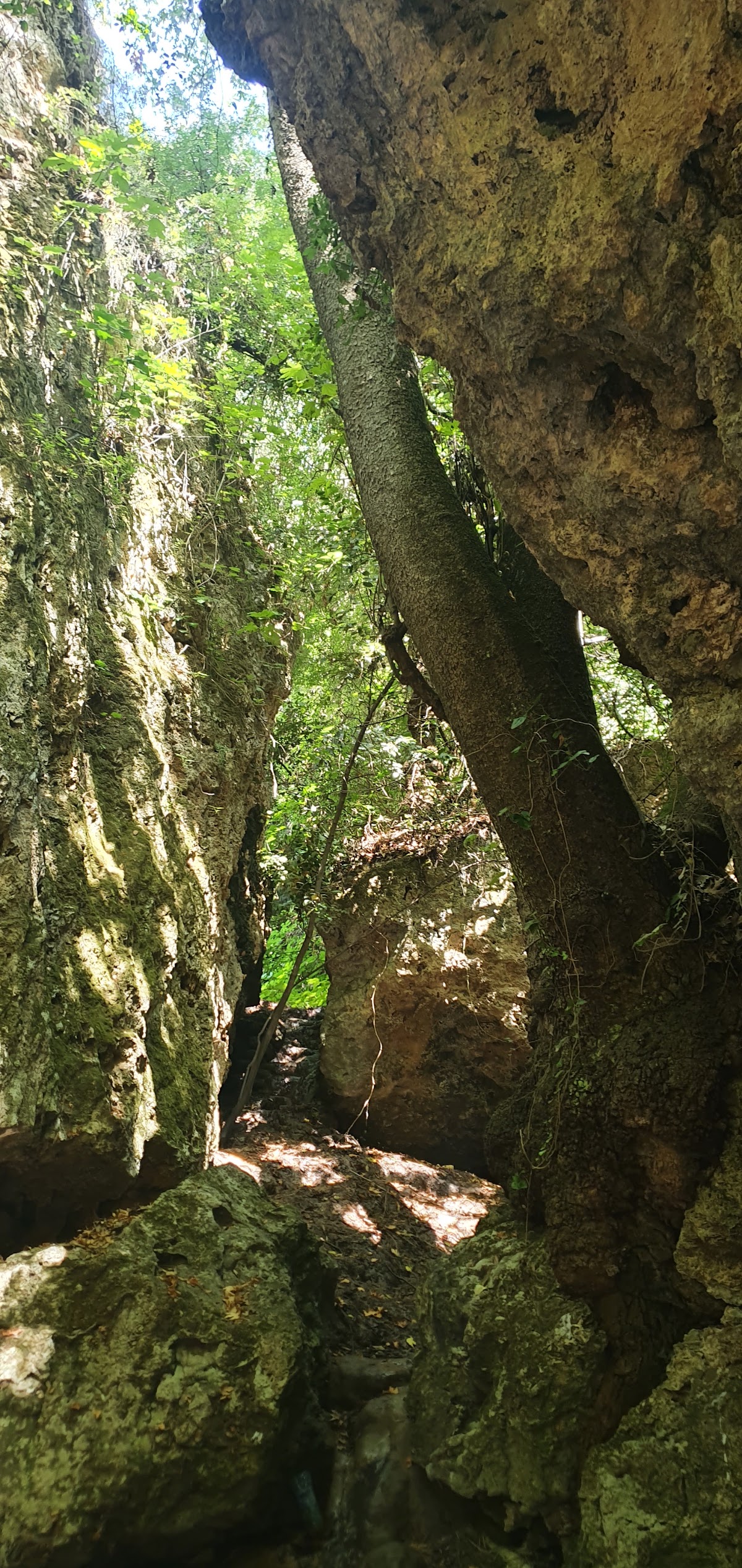 Rechmaya Waterfall — photograph 5
